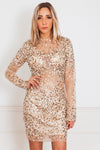 Sophisticated Sequin Dress - Nude