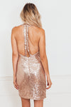 Sleeveless Sequin Mini Dress