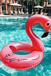 Flamingo Floaty - Haute & Rebellious