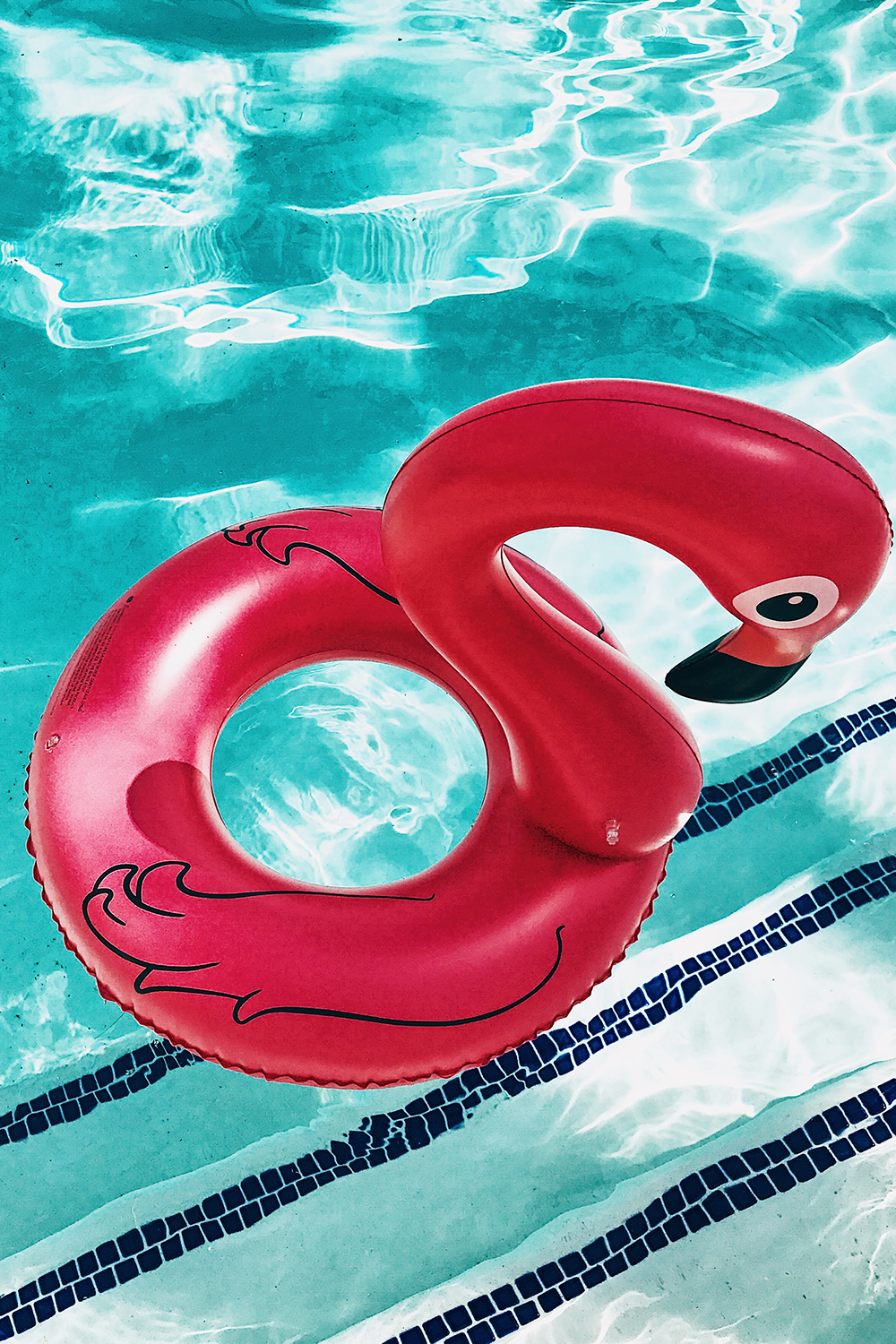 Flamingo Floaty - Haute & Rebellious
