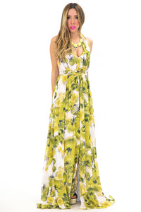 APPLE PRINT V-NECK LONG DRESS - Haute & Rebellious