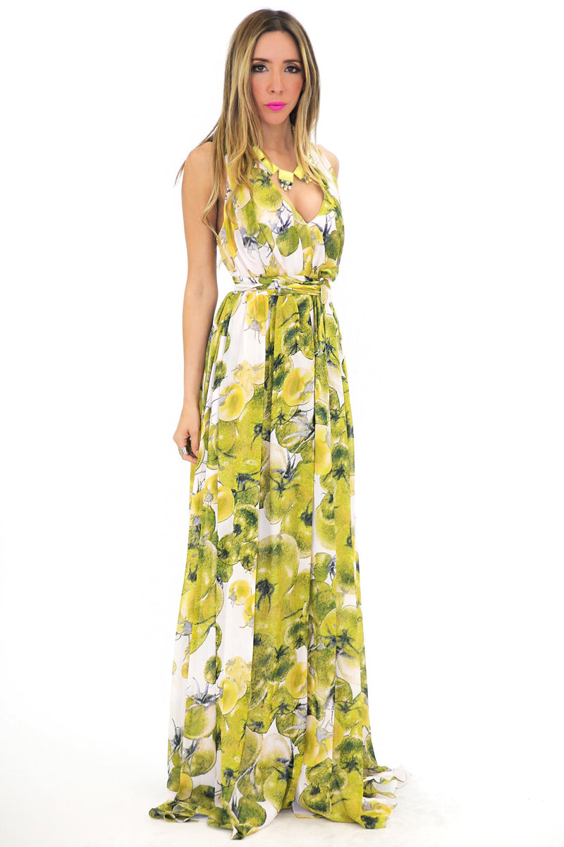 APPLE PRINT V-NECK LONG DRESS - Haute & Rebellious