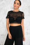 Razor Sharp Embroidery Crop Top - Haute & Rebellious