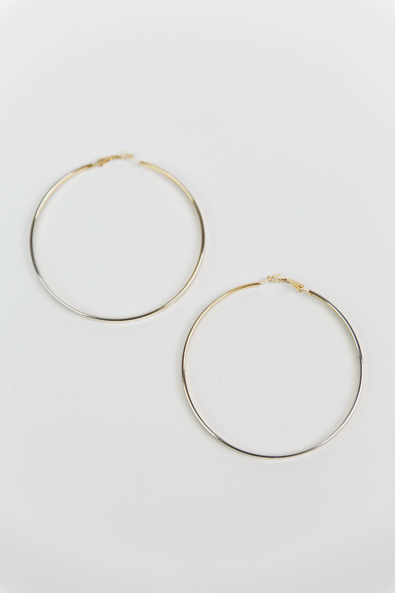 Circle Hoop Plated Earrings - Haute & Rebellious