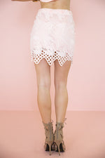 Erin Lace Mesh Detail  Skirt - Blush - Haute & Rebellious