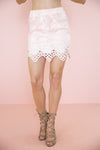 Erin Lace Mesh Detail  Skirt - Blush - Haute & Rebellious