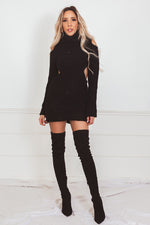 Turtle Neck Knit Sweater Dress