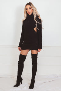 Turtle Neck Knit Sweater Dress