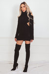 Turtle Neck Knit Sweater Dress
