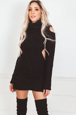 Turtle Neck Knit Sweater Dress