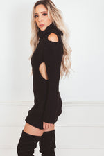 Turtle Neck Knit Sweater Dress